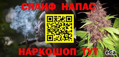 молекула духа Шелехов