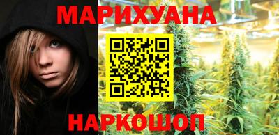 молекула духа Шелехов