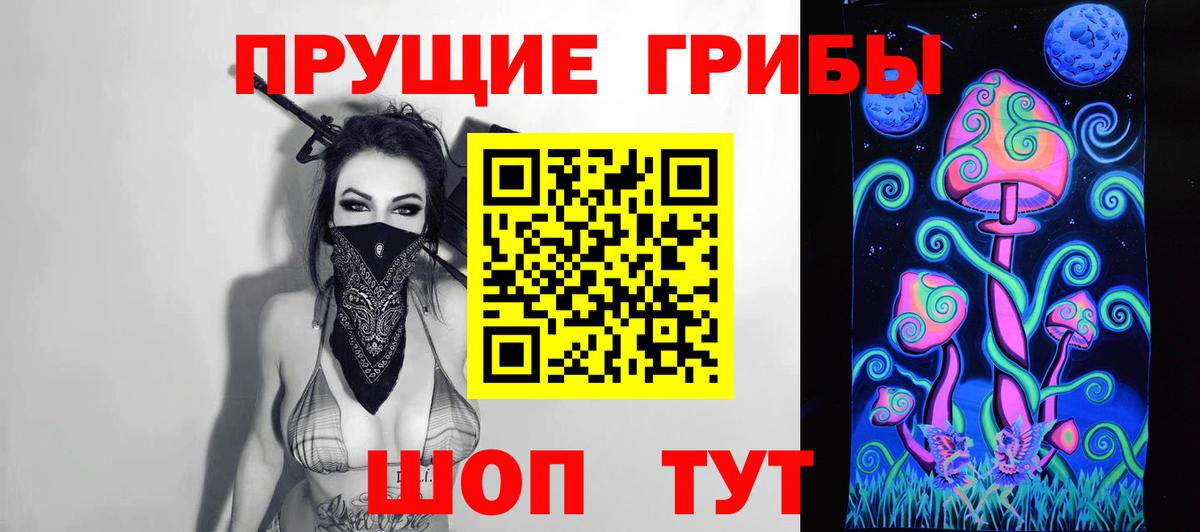 Галлюциногенные грибы Psilocybine cubensis  Вход с VPN  Галлюциногенные грибы мухоморы  Нурлат 